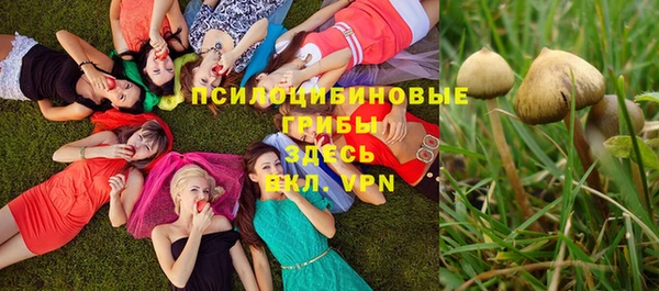 молекула духа Алексеевка