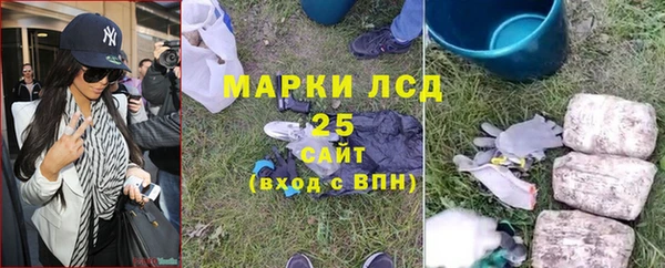 молекула духа Алексеевка